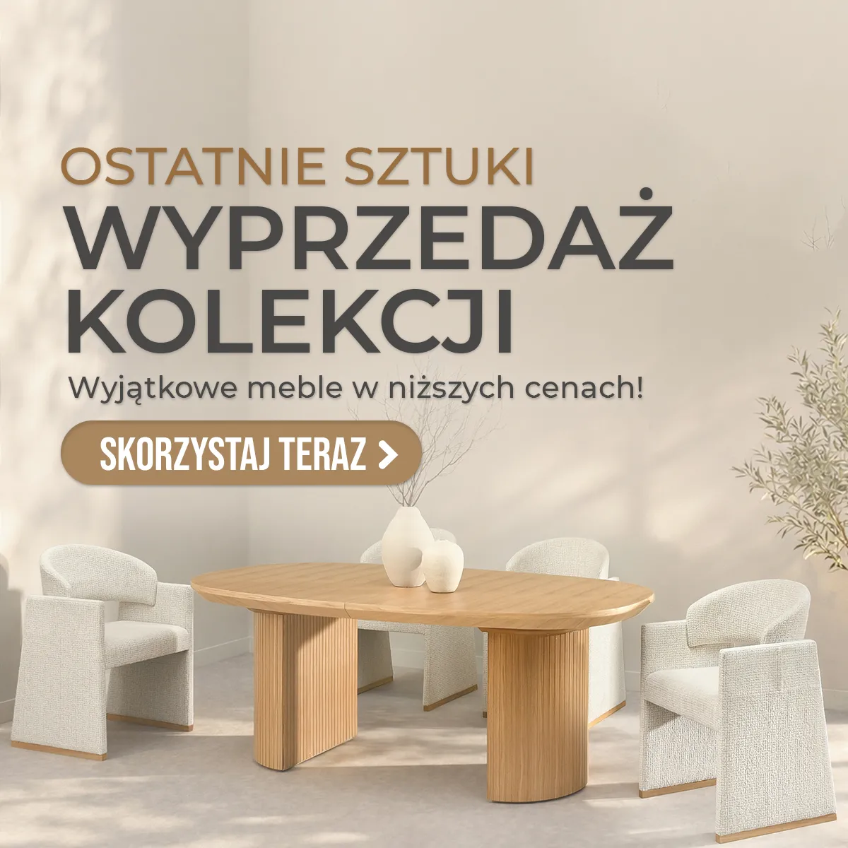 Zobacz nasze promocje i Nowości
